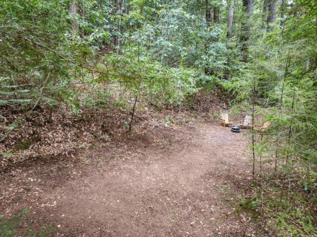 1365 Caledonia Avenue, Ben Lomond CA: https://media.crmls.org/mediaz/081f3f7c-59ff-47d5-b059-038de6113763.jpg