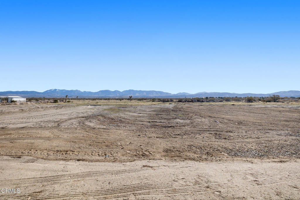 MLS #P1-25234 image #25