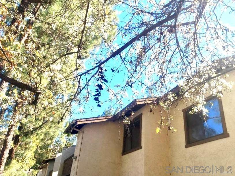 10258 Black Mountain Road - photo 3