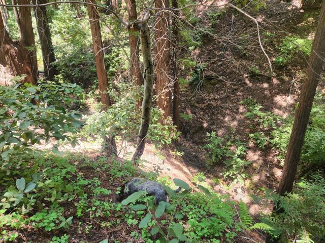 0 Lost Valley, Los Gatos CA: https://media.crmls.org/mediaz/0829608a-442b-45b0-a899-269c7531b143.jpg