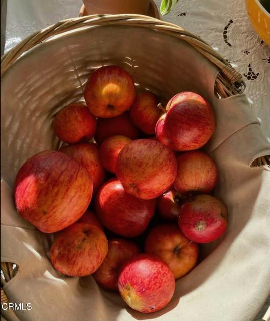 31400 Sherwood Road, Fort Bragg CA: https://media.crmls.org/mediaz/0830813f-b921-435b-9d22-163141d85ce6.jpg