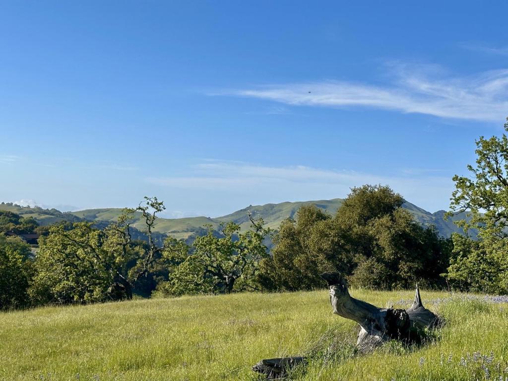 MLS #ML81978118 image #10