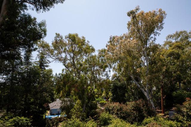 1330 Trinity Drive, Menlo Park CA: https://media.crmls.org/mediaz/0837d567-cebd-4738-bfa4-115c14cec891.jpg