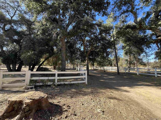 30247 Chihuahua Valley Road, Warner Springs CA: https://media.crmls.org/mediaz/08422460-0d76-4f7a-a688-02d7ebc9a98d.jpg