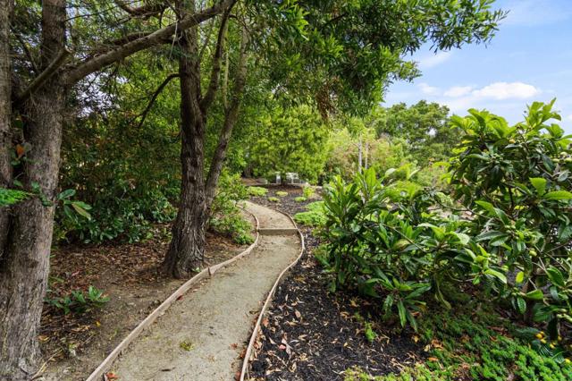 1535 Lakeview Drive, Hillsborough CA: https://media.crmls.org/mediaz/084c19a5-66f5-4c76-8697-4c86cbb0c365.jpg