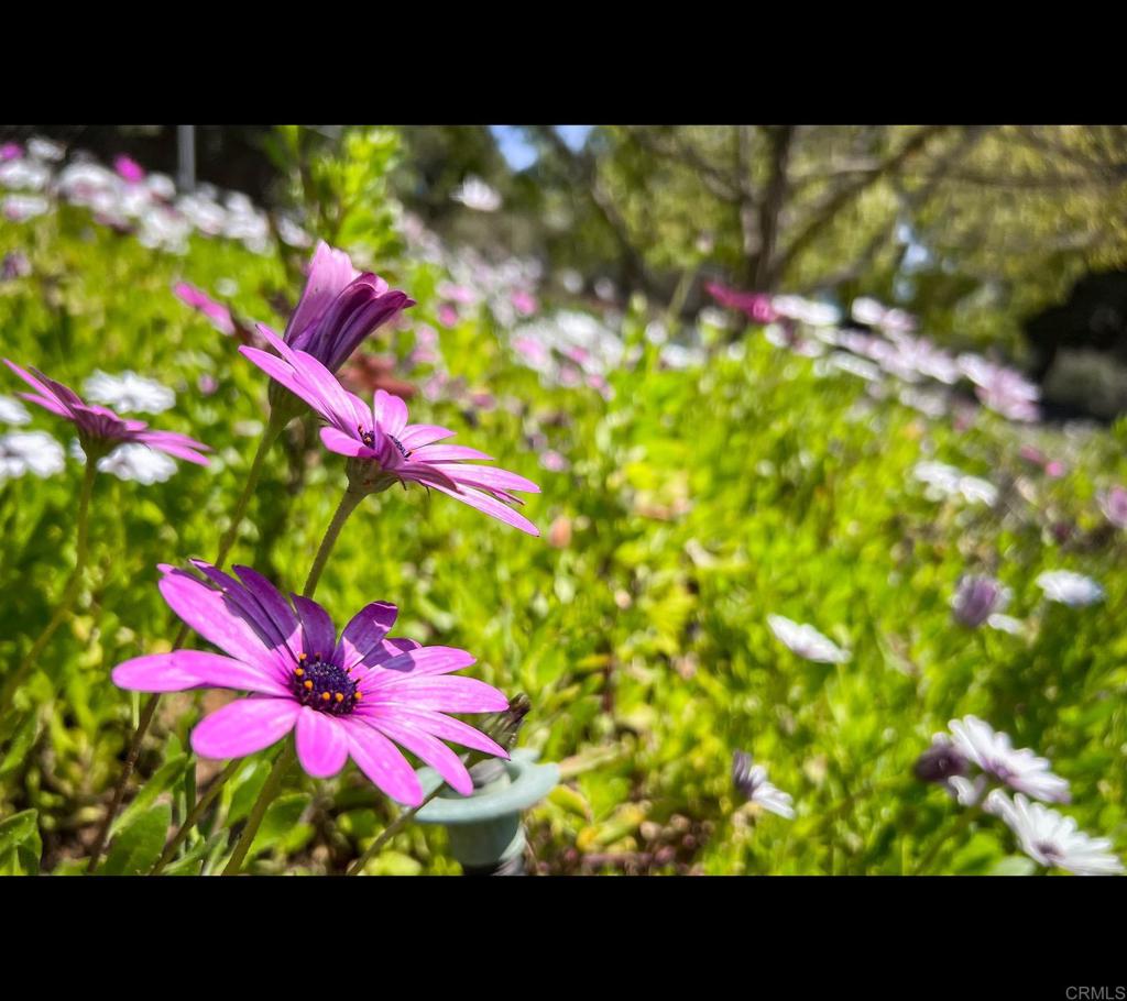 https://media.crmls.org/mediaz/084cdc15-d12f-42d1-88a9-c2de40b39f96.jpg?preset=X-Large