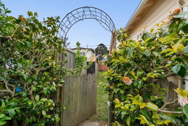 525 Laverne Avenue, Aptos CA: https://media.crmls.org/mediaz/08548993-1b1a-4217-a8e5-1d2fb93cfd15.jpg