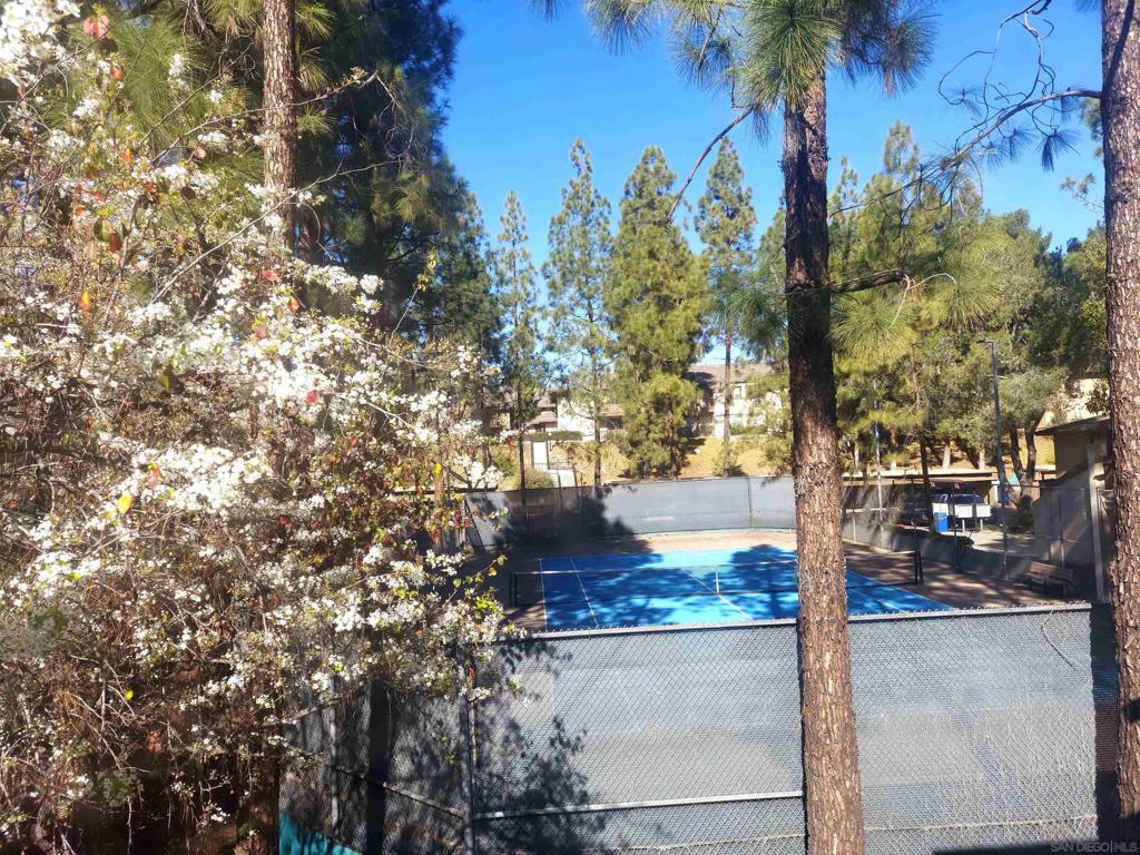 10258 Black Mountain Road - photo 14