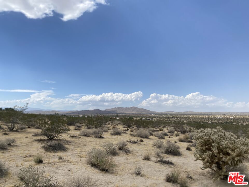 MLS #23332031 image #8