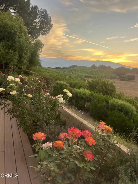 1920 Tiara Drive, Ojai CA: https://media.crmls.org/mediaz/0877d631-ca3d-4009-bf94-1df83d8c3211.jpg