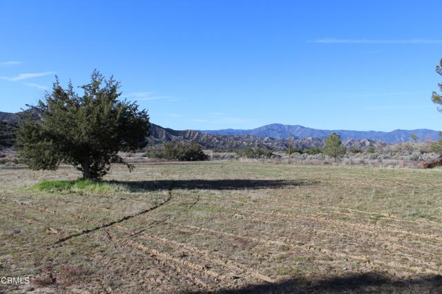 Detail Gallery Image 13 of 41 For 4190 Quatal Canyon Rd, Maricopa,  CA 93252 - – Beds | – Baths