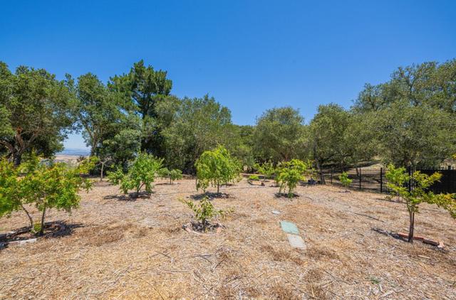 12167 Saddle Road, Carmel Valley CA: https://media.crmls.org/mediaz/088132db-6f36-4f51-9b42-3e4adcc3be6f.jpg