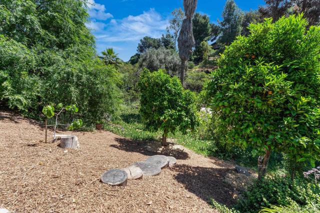 Image 49 of 53 For 1839 Avocado