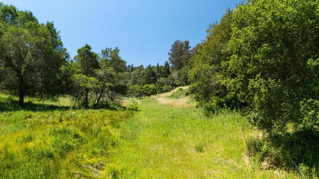 3554 Paul Sweet Road, Santa Cruz CA: https://media.crmls.org/mediaz/08849b33-f515-44b4-a6c8-4386c6361ce2.jpg
