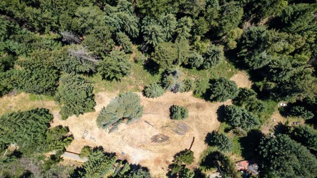 830 Kings Highway, Boulder Creek CA: https://media.crmls.org/mediaz/088999c2-931b-4372-a151-d864188353e6.jpg