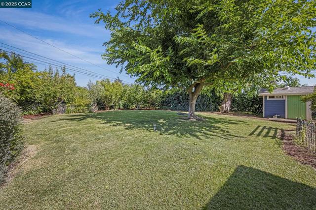 3505 Euclid Ave, Concord CA: https://media.crmls.org/mediaz/08937e53-1b75-4c5f-96dd-c75ceb85732d.jpg