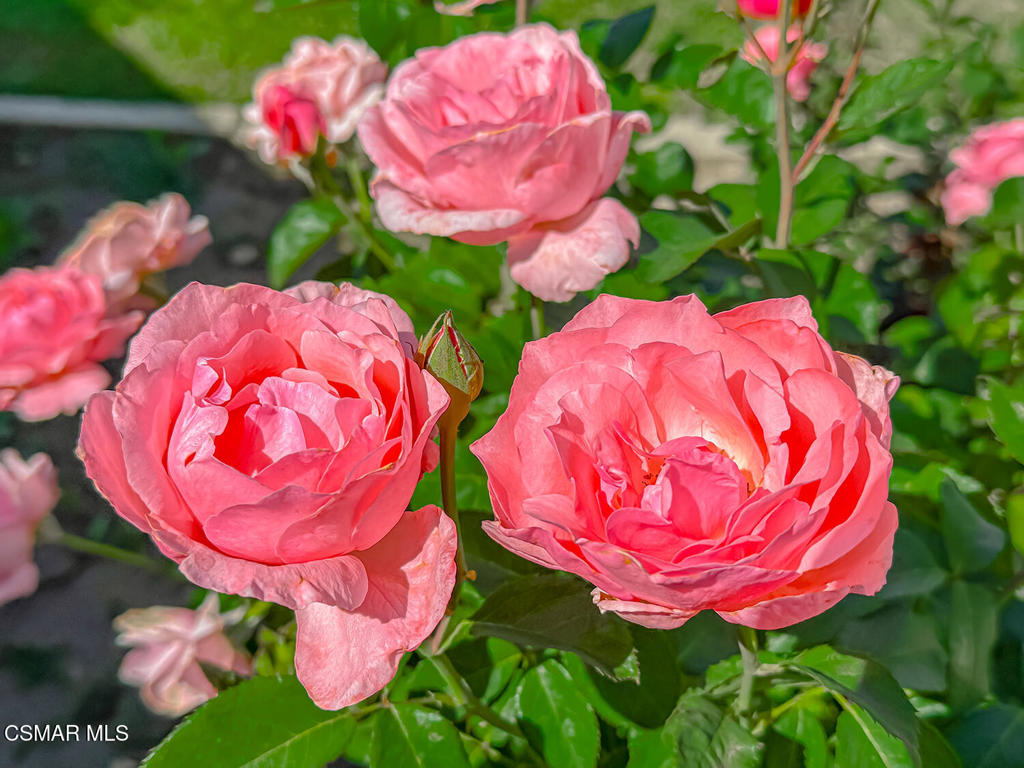 https://media.crmls.org/mediaz/089c7ade-83a6-4442-9923-30c42379e469.jpg?preset=X-Large