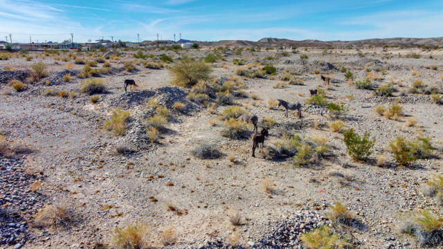 Image 70 of 83 For 12600 Havasu Lake Road