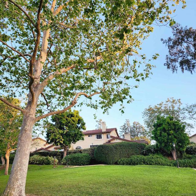 Image 2 of 25 For 4050 Porte De Palmas  26