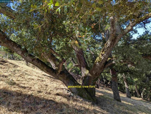 13 St James Court, Orinda CA: https://media.crmls.org/mediaz/08ad3a28-b4ab-4dc5-afd2-a129b2197b06.jpg