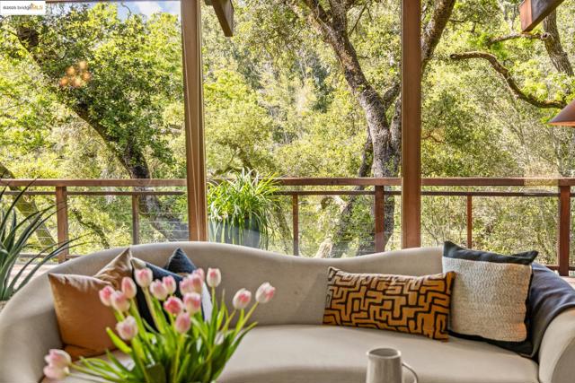 1 Kittiwake Rd, Orinda CA: https://media.crmls.org/mediaz/08ae5db4-d770-4701-b95a-d8a5f109e077.jpg