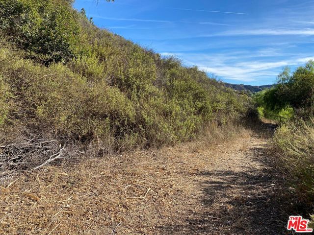 23629 Zuniga Road, Topanga CA: https://media.crmls.org/mediaz/08b09c36-9a00-4bc7-a12e-746e042f00a4.jpg