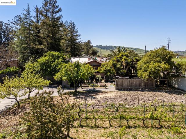 75 Fremont Dr., Sonoma CA: https://media.crmls.org/mediaz/08b1d990-dfec-4c51-8242-a8e6560021c4.jpg