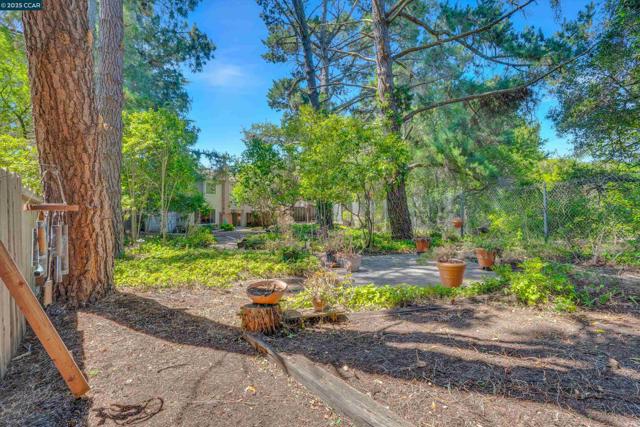663 Abrigo Ct, San Ramon CA: https://media.crmls.org/mediaz/08b5df35-2275-47ae-a6e5-3996df291e33.jpg