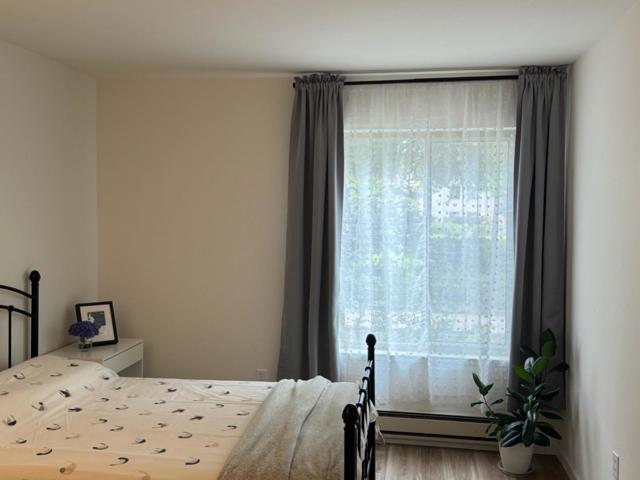 1730 Halford Avenue, Santa Clara CA: https://media.crmls.org/mediaz/08d7404c-9c45-4ceb-8e8d-fcf7e61f3fe3.jpg