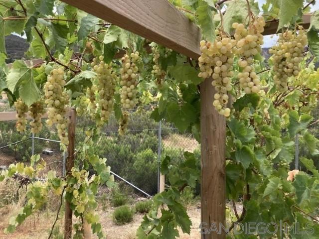 8209 Mesa, Santee CA: https://media.crmls.org/mediaz/08daa775-9e72-4c71-8d78-1ad464db2c11.jpg