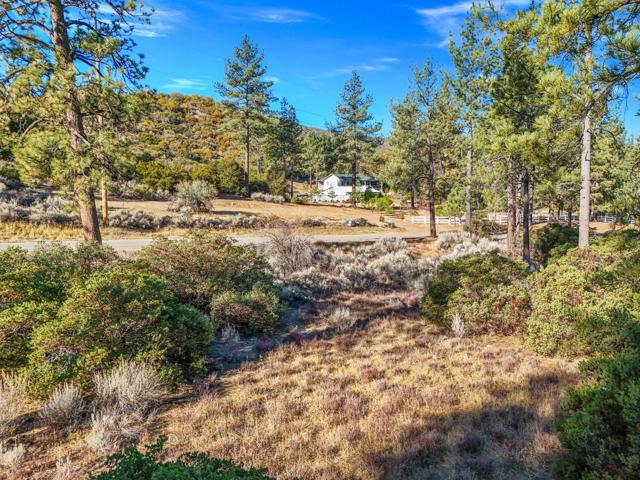 1 Pipe Creek Road, Mountain Center CA: https://media.crmls.org/mediaz/08e3d081-3760-4fb3-bfaa-91d20fb402b5.jpg