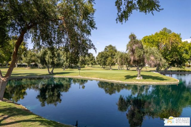 169 Avenida Orontes, Cathedral City CA: https://media.crmls.org/mediaz/08e4db1d-1075-4b7f-aa81-956701297ad6.jpg