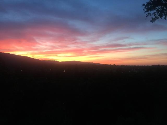 Image 76 of 85 For 100 Hollywood Avenue