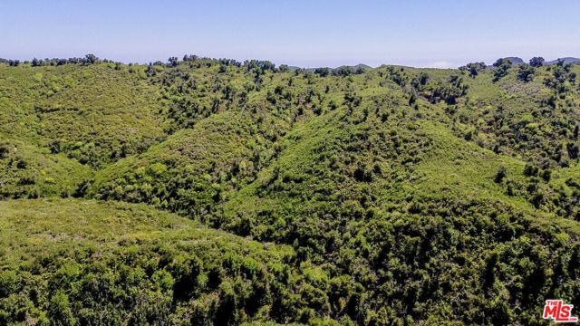 Drew Fenton | 28980 Newton Canyon Road Malibu CA | MLS: 7048369