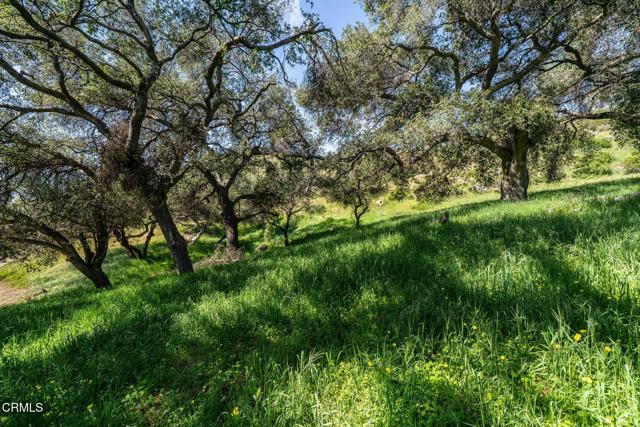 Detail Gallery Image 3 of 44 For 4700 Rising Hill Rd, Altadena,  CA 91001 - – Beds | – Baths