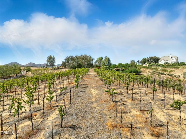 38470 Ave De La Bandolero, Temecula CA: https://media.crmls.org/mediaz/09157d88-480c-477d-acf6-63fa29c09cb8.jpg