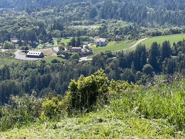 19375 Montevina Road, Los Gatos CA: https://media.crmls.org/mediaz/091c528e-cdf1-4fed-9e7d-53882e2c9def.jpg