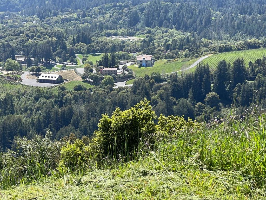 https://media.crmls.org/mediaz/091c528e-cdf1-4fed-9e7d-53882e2c9def.jpg?preset=X-Large