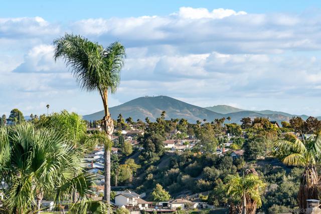 MLS #250041908SD image #50