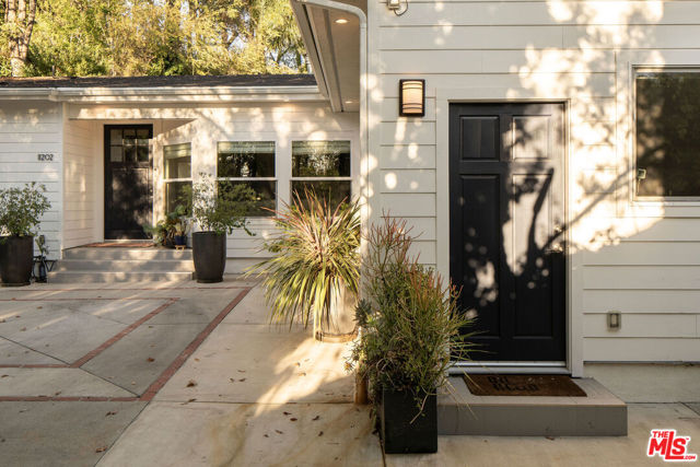 11202 Canton Drive photo 2