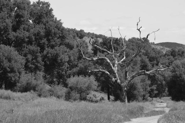 Image 9 of 20 For 60501 Lockwood San Lucas Road
