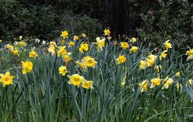 0 Eureka Canyon Road, Watsonville CA: https://media.crmls.org/mediaz/09484267-20ee-40ad-8d13-e3a44e940bea.jpg