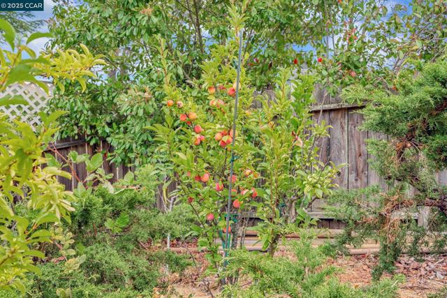 92 Gaywood Pl, Moraga CA: https://media.crmls.org/mediaz/09488555-b5dd-4276-86f0-dc0dd83c4c08.jpg