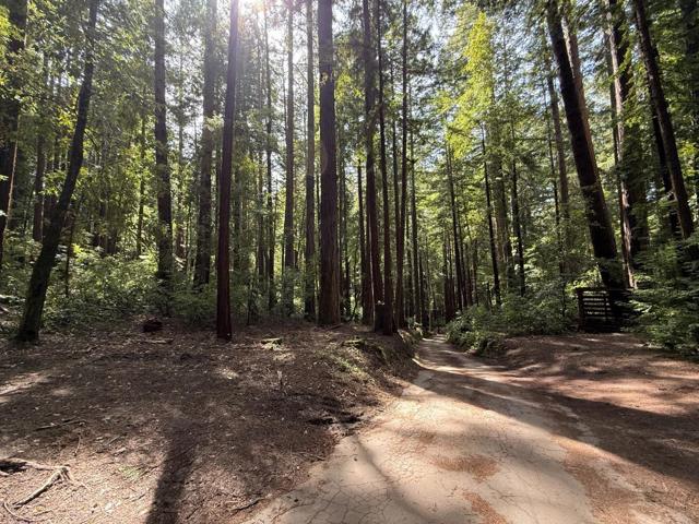 0 Slate Creek Rd., La Honda CA: https://media.crmls.org/mediaz/0954b46c-1278-47f8-8eb2-dbd7b4a15141.jpg