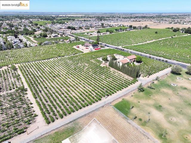 1000 Vintage Drive, Oakley CA: https://media.crmls.org/mediaz/09577ec4-11a7-484b-a9d9-0cd7664f222b.jpg