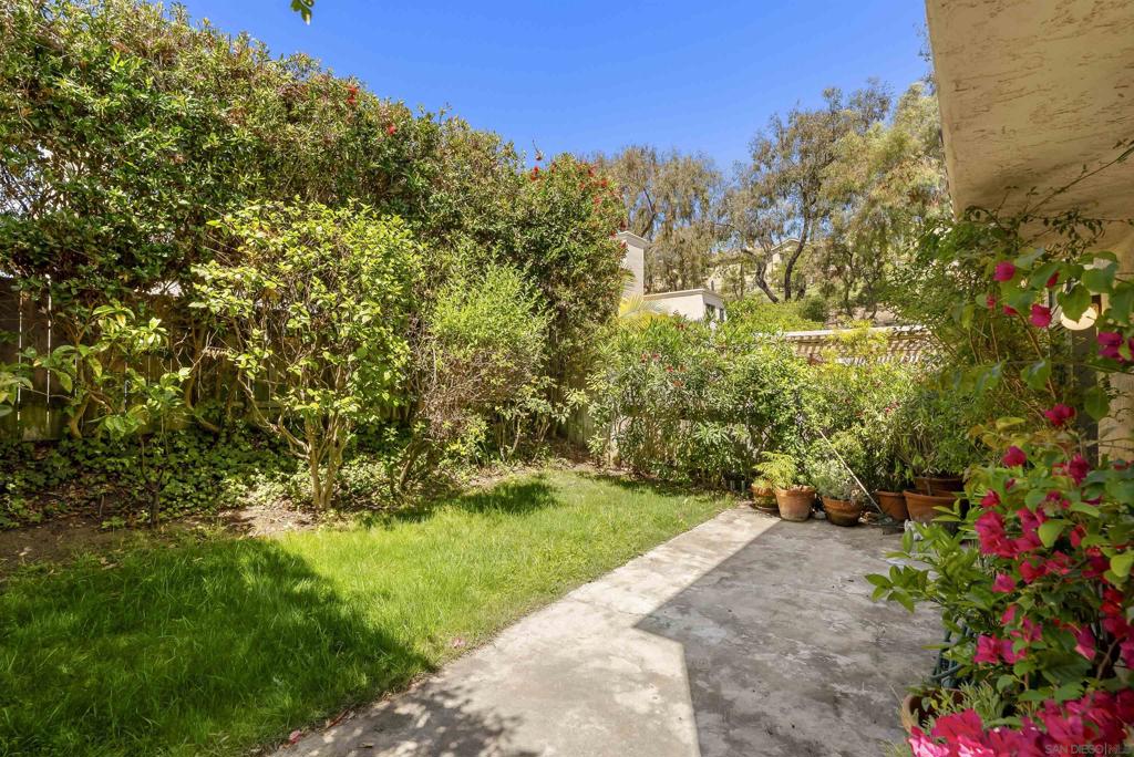 3680 Caminito Cielo - photo 15