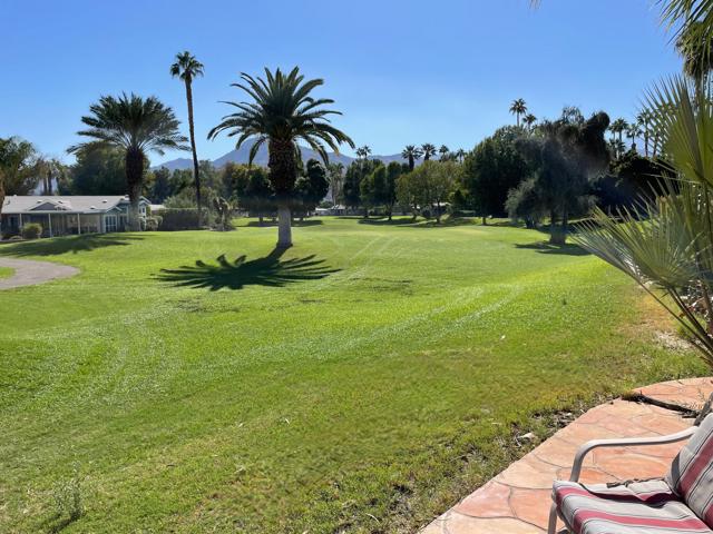 Back Patio View South