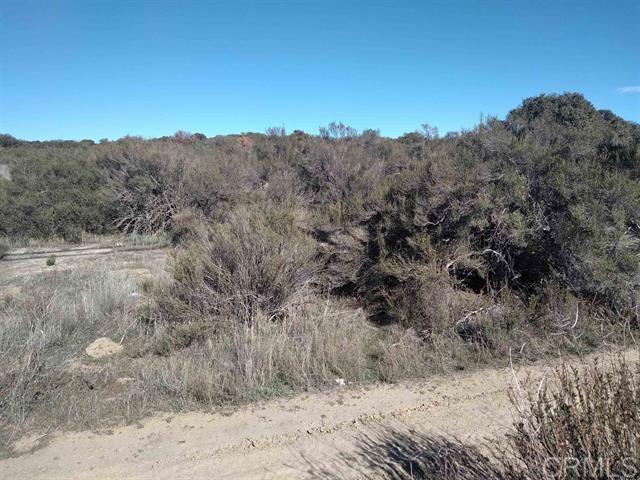 Detail Gallery Image 3 of 5 For 40 Acres Hwy. 94, Campo,  CA 91906 - – Beds | – Baths