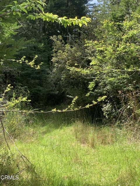 Detail Gallery Image 11 of 41 For 23501 Branscomb Rd, Westport,  CA 95488 - – Beds | – Baths