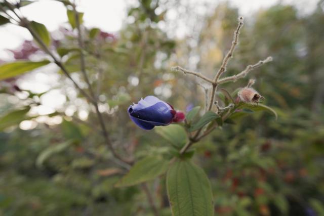 Image 18 of 24 For 520 Redwood Road